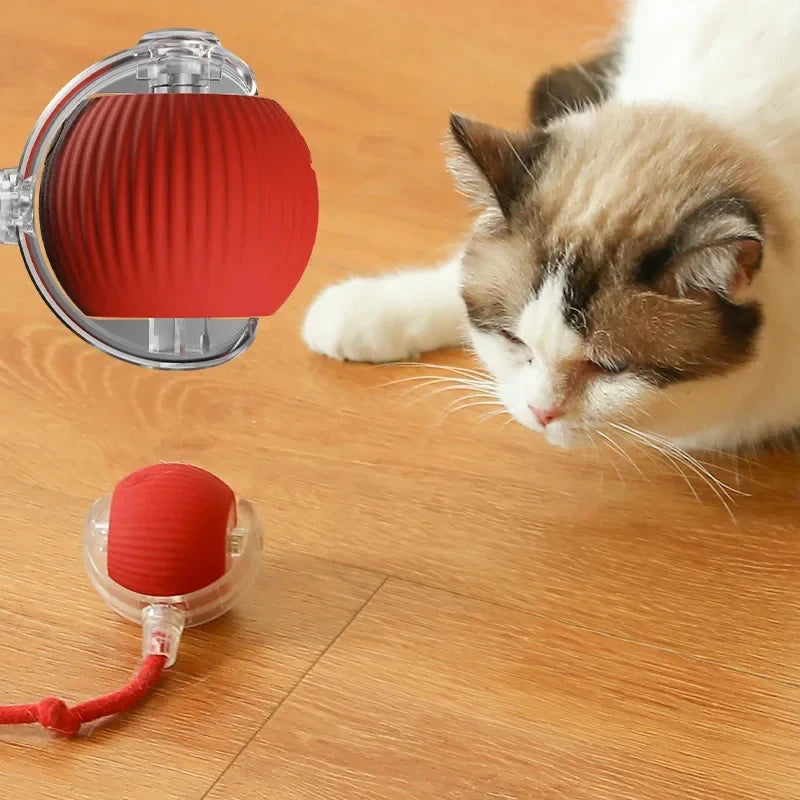 Balle de Jeu Interactive pour Chat