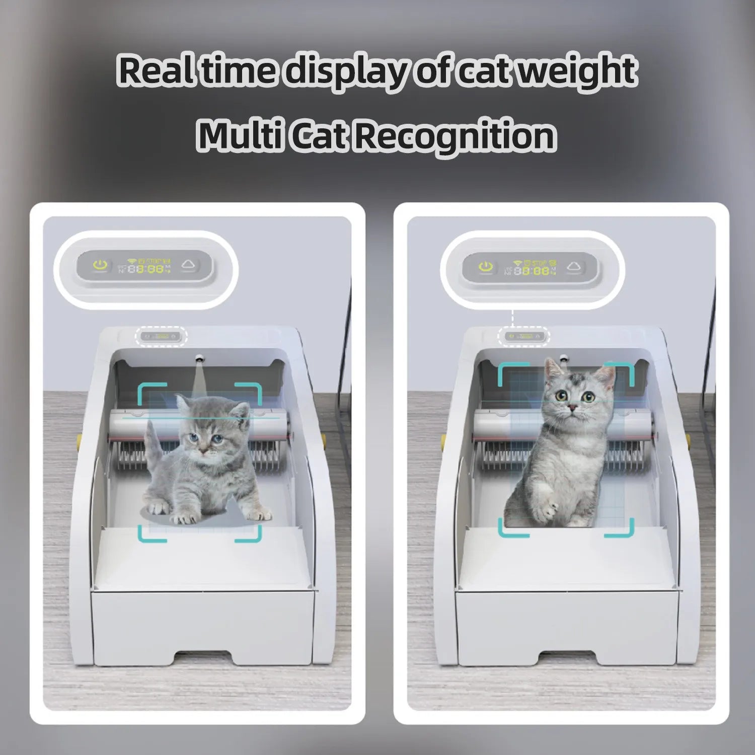 Boîte à Litière Automatique Intelligente pour Chat – Praticité et Propreté Assurées