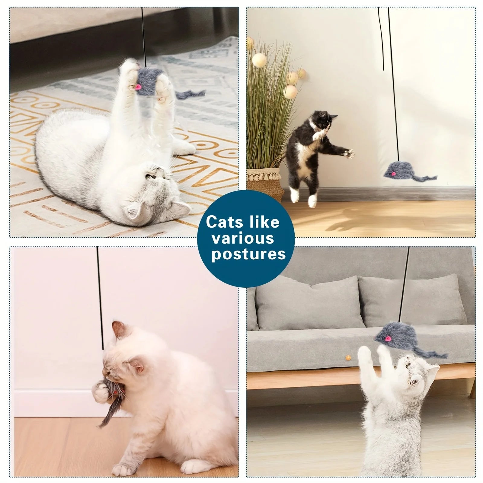 Jouet Suspendu pour Chat