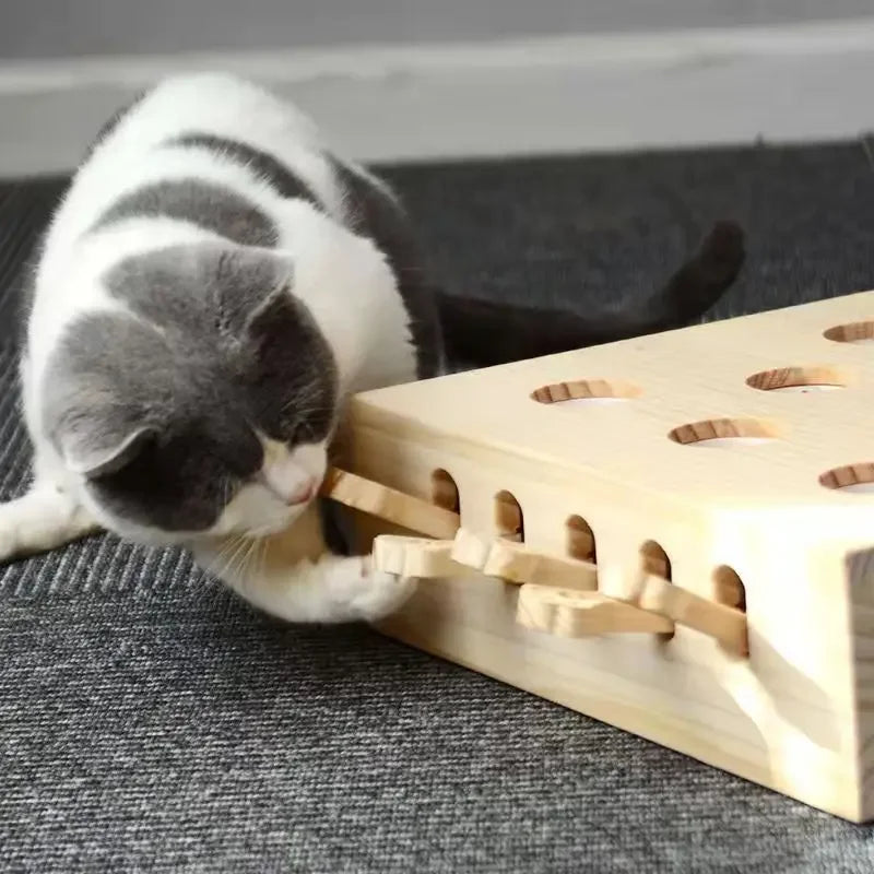 Jouet Interactif pour Chats – Puzzle en Bois avec Labyrinthe et Trous