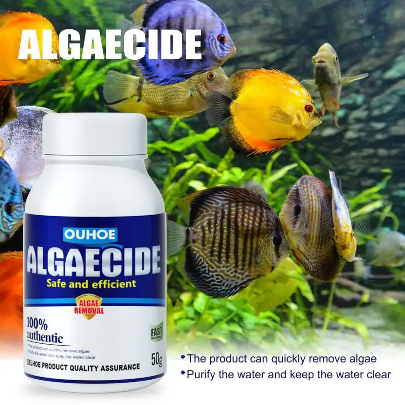 Algaecide Aquarium – Nettoyant puissant pour aquarium (50g)