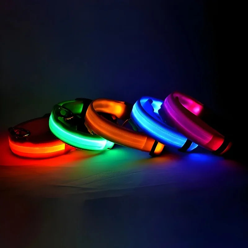 Collier LED Lumineux pour Chien