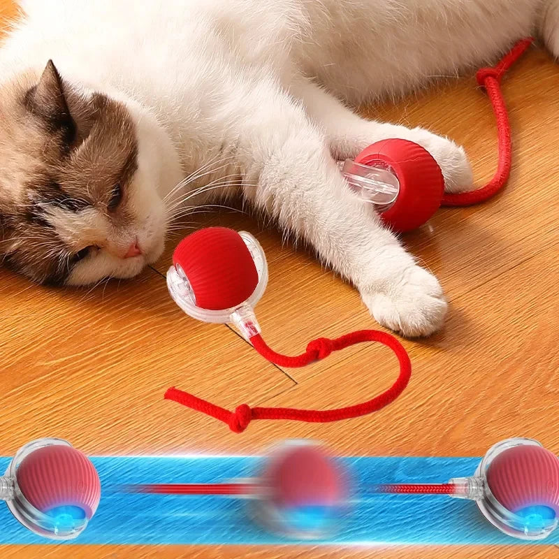 Balle de Jeu Interactive pour Chat