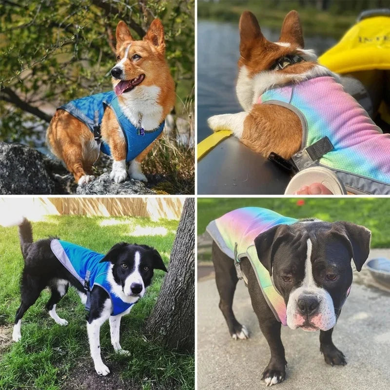 Gilet Rafraîchissant pour Chien -