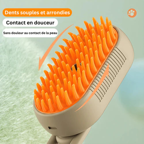 Brosse à vapeur éléctrique 3 en 1