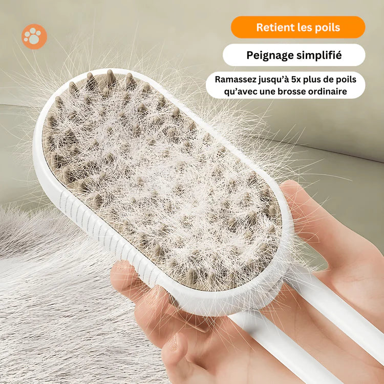 Brosse à vapeur éléctrique 3 en 1